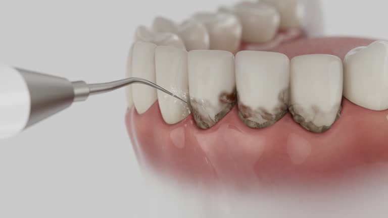 Reliable Dental contractor in Perry, MI by Dentist Open Now